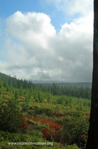 Mountain View Mountain View