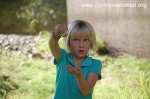 Mormon Discovery