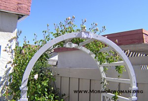 mormon woman arch 3 copy