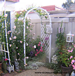 mormon woman arch 5