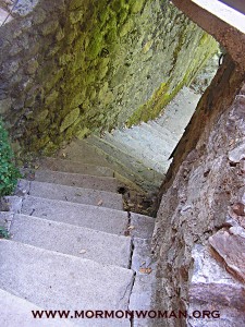 steps down to the water copy
