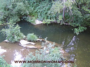 the moat copy