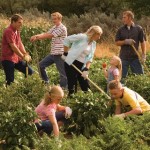 Mormon Welfare Principles and Self-Reliance Mormon belief about welfare is rooted in principles of self-reliance