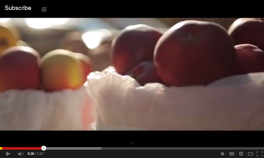thanksgiving video