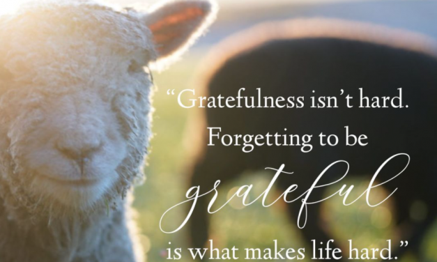 “Remember how great things the Lord [has] done”