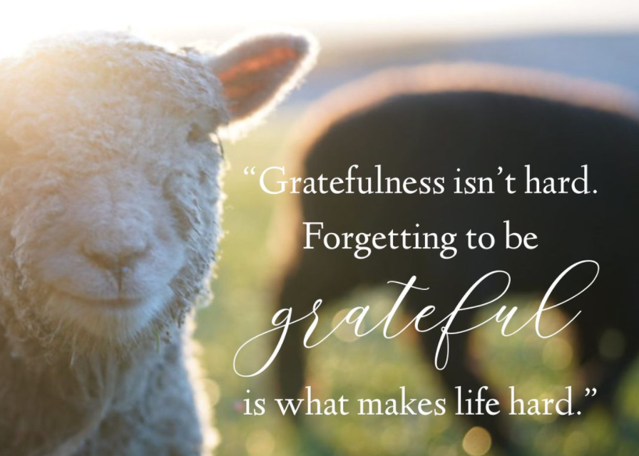 “Remember how great things the Lord [has] done”
