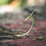 Small and simple faith can open hearts