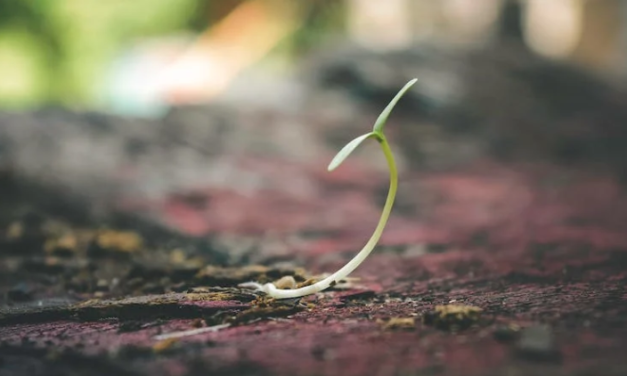 Small and simple faith can open hearts