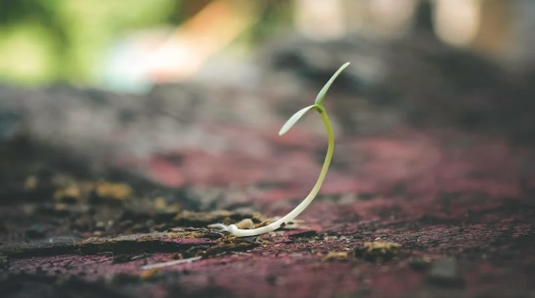 Small and simple faith can open hearts